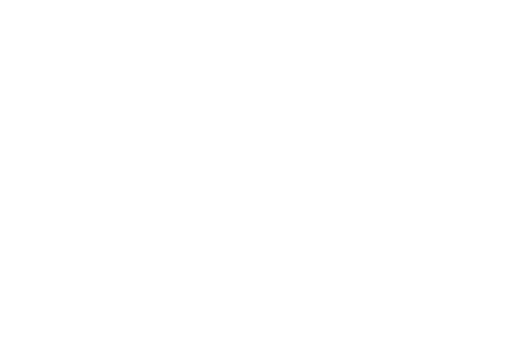 MMI Intellectual Property